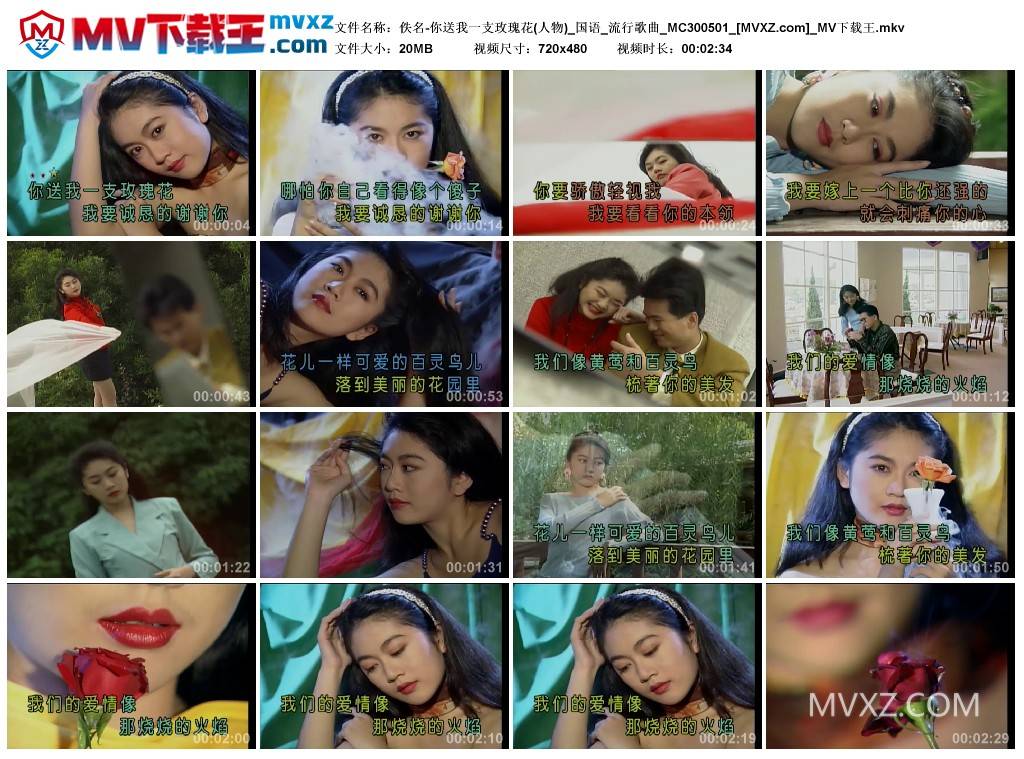 佚名-你送我一支玫瑰花(人物)_国语_流行歌曲_MC300501